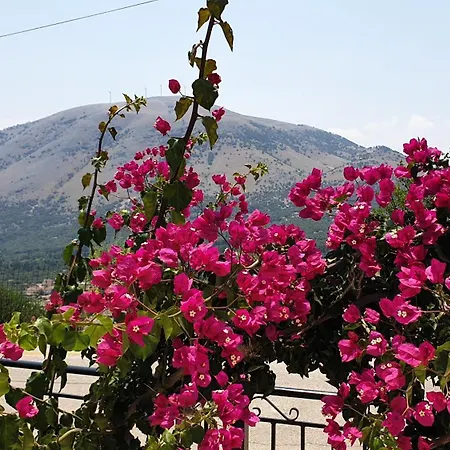 Theyellow House Fully Equipped 2br